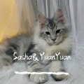 Sasha&YuanYuan