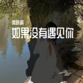 秦晓疯 - 如果没有遇见你