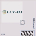 唐家乐 - 2022最新中文车载DJ串烧 (remix: 小抖)