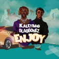 Enjoy (feat. Blaqbonez)(Explicit)