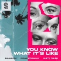 Salasnich、PY & Mastro Sally、Rhett Fisher - You Know What It's Like