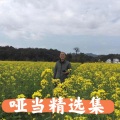 哑当 - 雨巷佳人