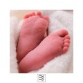 Melatonin Nature、White Noise Baby Sleep Music、White Noise - Good White! Noise