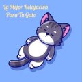 Relajación Profunda - ´Tu Gatito Se Dormirá Más Rápido