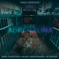 Onça Sessions、Raffa Mogi、Ronan Romma、Milani、Mc Arthur、Bean - Onça Sessions #2 - Sobe Adrenalina (Explicit)