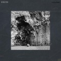 Volunteer - Shelter