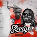 SORRY (Explicit)