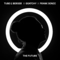Tube & Berger、Goatchy、Frank Sonic - The Future (Extended)