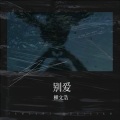 柳文浩 - 别爱
