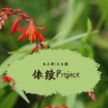 依绫Project