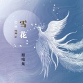 菲雪 - 乌兰巴托的夜