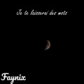 Faynix - Je te laisserai des mots slowed and reverbe