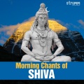 Om Voices、Sai Madhukar - Mahamrityunjay Mantra- Meditation