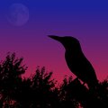 Blocky - Nightingale flies
