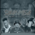 Shukumisa (feat. TNK MusiQ & Calvin Shaw)