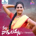 Akunuri Devaiah、Lavanya Potharaju - Nalla Nagulamma (Dj Version)