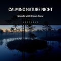 Calming Nature Night Sounds with Brown Noise, Loopable