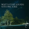 Night Nature Sounds with Pink Noise: Soft Crickets, Owls, Water & Rain, Loopable