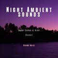 Night Ambient Sounds, Cricket, Swamp Sounds at Night with Brown Noise, Loopable