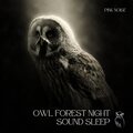 Owl Forest Night Sound Sleep, Relax (With Pink Noise) , Loopable