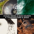 Calming Water Consort - Rain Purifying