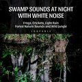 Swamp Sounds at Night with White Noise - Frogs, Crickets, Light Rain, Forest Nature Sounds and Wild Jungle, Loopable