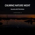 Calming Nature Night Sounds with Pink Noise, Loopable