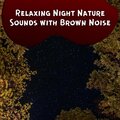 Relaxing Night Nature Sounds with Brown Noise, Loopable