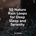 50 Nature Rain Loops for Deep Sleep and Serenity
