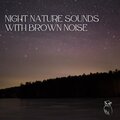 Night Nature Sounds with Brown Noise: Soft Crickets, Owls, Water & Rain, Loopable