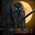 Owl Forest Night Sound Sleep, Relax (With White Noise) , Loopable