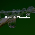 Rain & Thunder - July Rains In The Forest