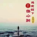 隆鑫飞歌 - 为爱流下伤心泪