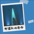 智潘凤 - 我不是你的宋冬野