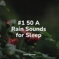 #1 50 A Rain Sounds for Sleep