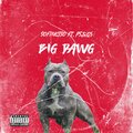 SoFinesso、ps、Qs - Big Dawg (feat. Ps&Qs)(Explicit)