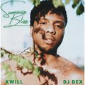 Xwill、DJ Dex - A Taste of Summer Bliss (feat. DJ Dex版)