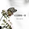 星光大道红豆 - 红豆翻唱一首