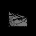 Regona、Arlyue - evil empire (feat. Arlyue)