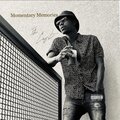 the captain - Momentary Memories