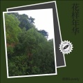 柳柳Lovely - 最好的夏天