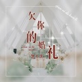 魏大凯 - 欠你的婚礼