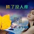 香飞蝶舞 - 除了没人疼
