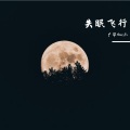 付振华Frank - 失眠飞行