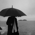 李佩琪 - 霸王虞情