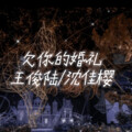 王俊陆、沈佳樱 - 欠你的婚礼