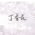 熙昱麟 - 丁香花