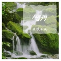 流氓小凤 - 合计