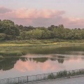 薛橘柚 - 分手的距离