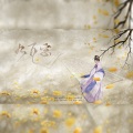April慕云泽 - 九万字